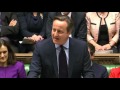 Cameron S Moving Tribute To My Bernard