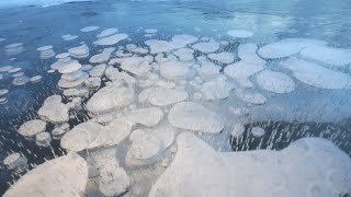 凍った湖面、彩るバブル 北海道・上士幌町