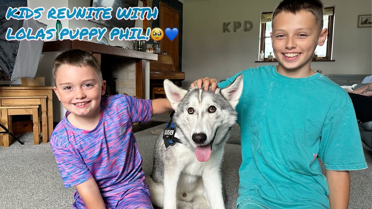 Surprising The Boys With Puppy Reunion!!!