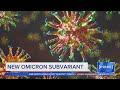 Why is the new COVID variant called stealth omicron? | NewsNation Prime