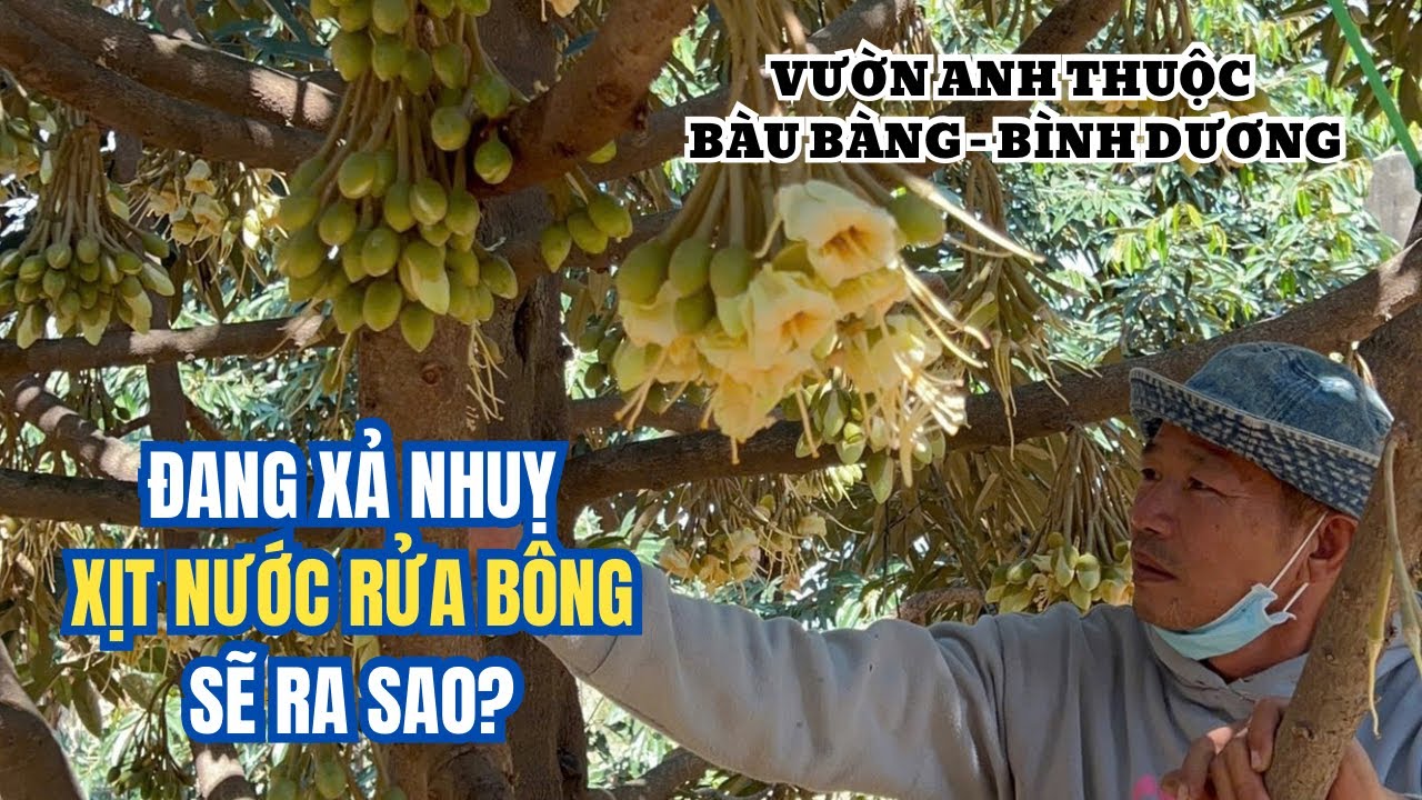 MẮT CUA RA BAO NHIÊU THÌ NHẤP NƯỚC? 