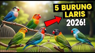 5 Burung Kicau Ini Bakal Naik Daun Mulai 2026😱 Jangan Sampai Ketinggalan‼️