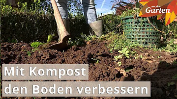 Wann Kompost in Boden einarbeiten?