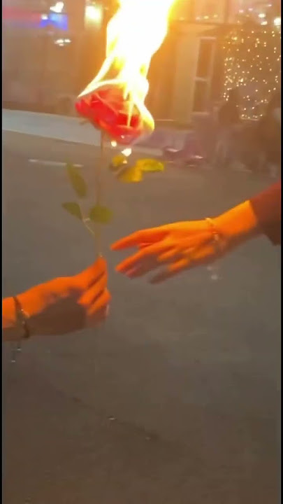 #fire #love #rose #skateboarding