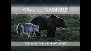 Photographing bears, wolfs and wolverines Wildlife Safaris Finland  hides in Kuhmo [ENG SUB]