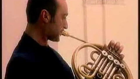 Brasylvia...fren...  horn jazz