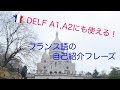 Leçon2  DELF A1とA2にも応用できる！初級フランス語の自己紹介改訂版