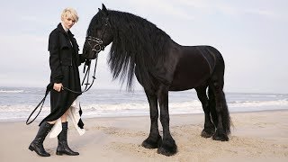 Högl Video Autumnwinter 2018 - Patrol