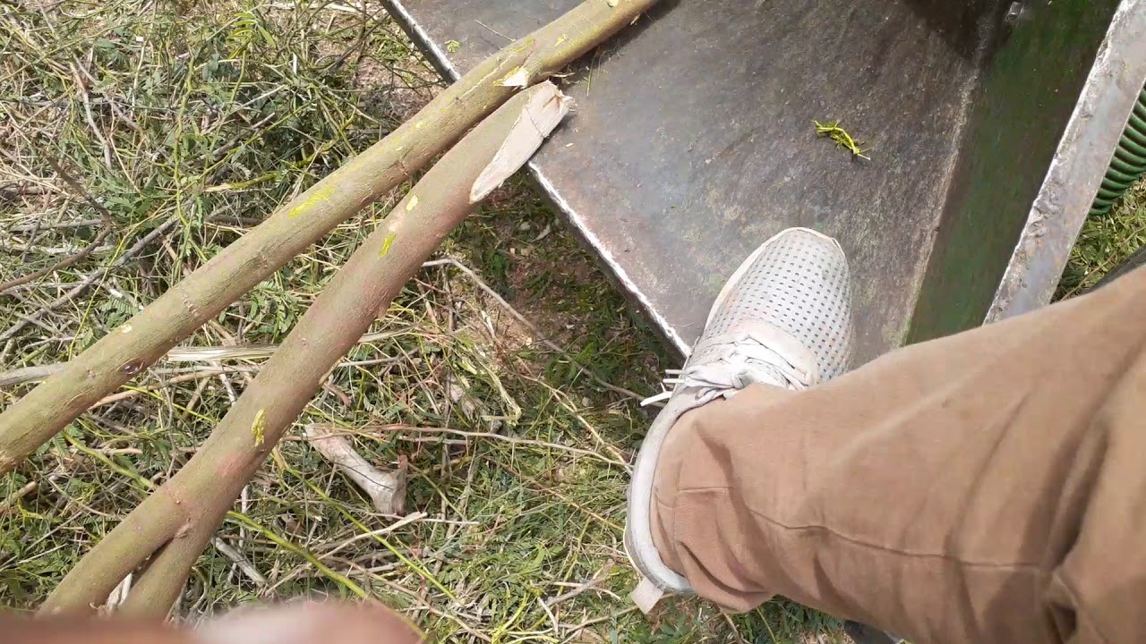 Wood Chippers YouTube