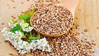 Как приготовить вкусную гречку? Как приготовить гречневую крупу? Как обжарить гречку? Аннада Как приготовить вкусную гречку? Как приготовить гречневую крупу? Как обжарить гречку? Аннада