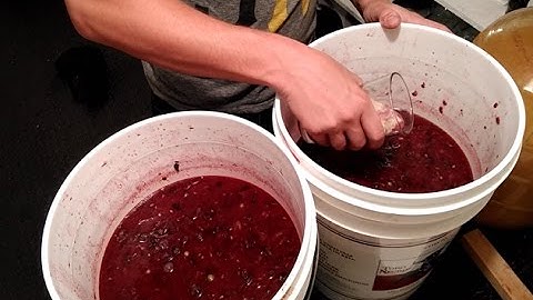 How to Start a Wine Fermentation and Balance Your Must - Home Winemaking