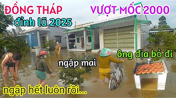 ĐỈNH LŨ MIỀN TÂY 2025: NGƯỜI DÂN NÓI NƯỚC LŨ LÊN KỶ LỤC CAO HƠN NĂM 2000 - NGẬP NHÀ ÔNG ĐỊA LUÔN RỒI
