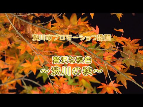 渋川市プロモーション動画　贅沢な秋色～渋川の秋～