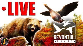 Making Our Return to Revontuli Coast! Chasing Diamonds for Our Challenge! | LIVE!