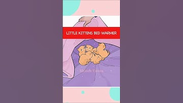 Little Kittens Bed Warmer #Shikentoons #cat #animation