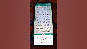 سورة ال عمران الآية 187-189 سعد الغامدي