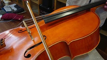 『正品』D弦 LARSEN CELLO from CYH