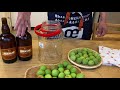 【IttenSalon】梅酵素の作り方