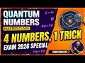Quantum Numbers: Why You Still Don't Understand Them (Wait for the Trick!) 😲