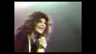 Zia   Nobody Loves You