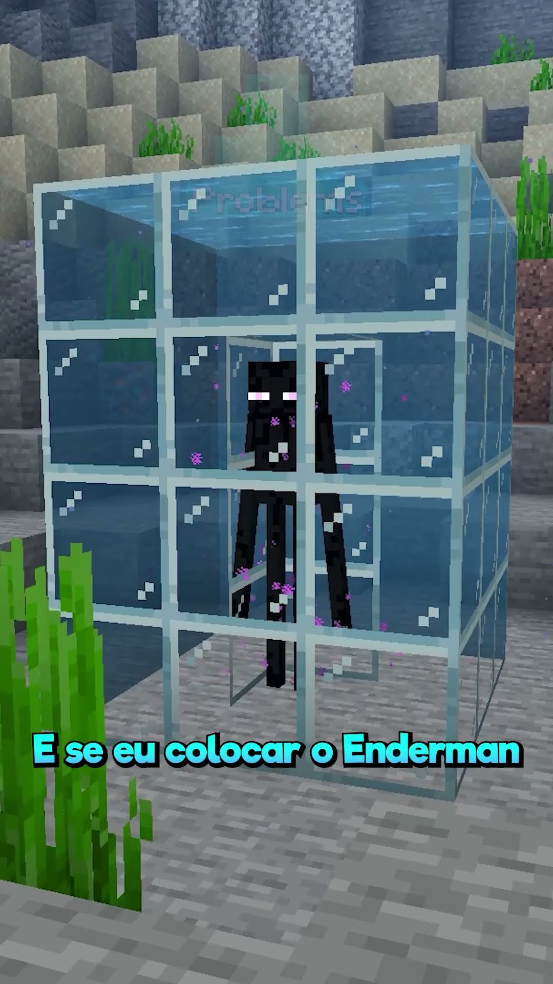 Torturando Endermans!