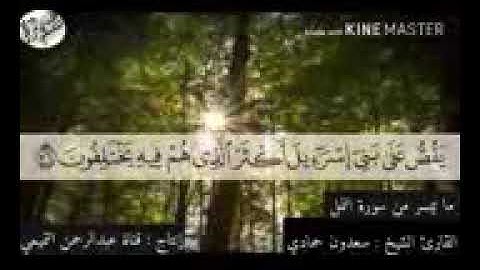 تلاوة مؤثرة للشيخ سعدون حمادي