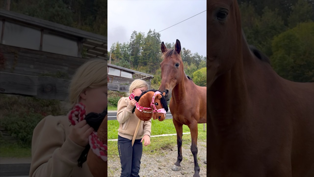 Ella and her hobbyhorse😍 