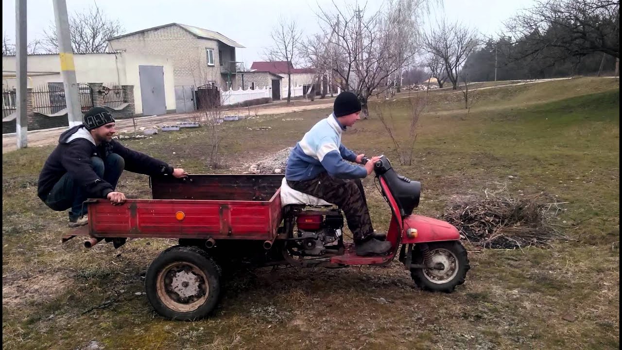Вывести муравьев из машины