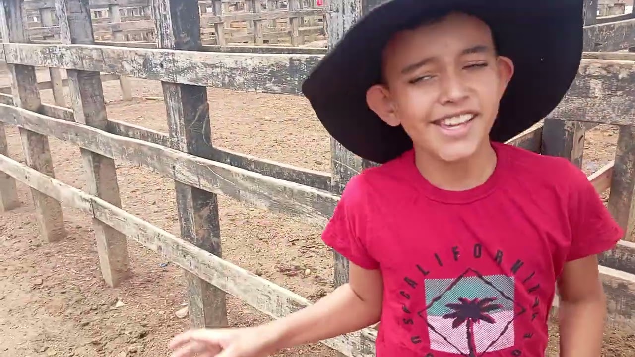 Na feira de Tabira, Pernambuco, mostrando os bois no pátio.