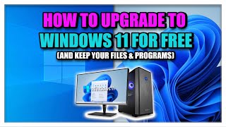 Как бесплатно обновиться до Windows 11 (и сохранить файлы и программы)