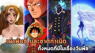 วันพีช - รวมเผ่าพันธุ์ต่าง ๆ ทั้งหมดที่มีในเรื่องวันพีช!!!