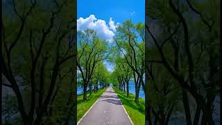 Download Lagu رَبَّنَا لَا تُزِغْ قُلُوبَنَا بَعْدَ إِذْ هَدَيْ MP3