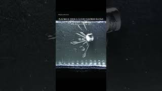 Seeing the Invisible: Radioactive Elements in a Cloud Chamber