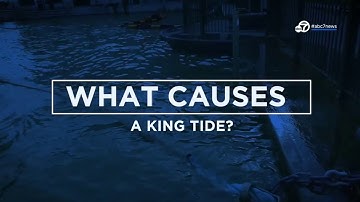 Science expert explains what causes a King Tide