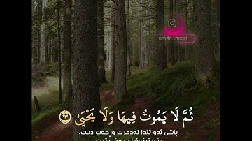رعد الكردي - سورة الاعلى ( تەفسیرا بادینی )