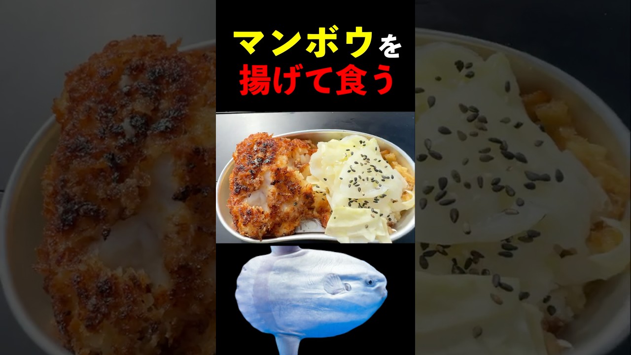 マンボウを揚げて食べる！