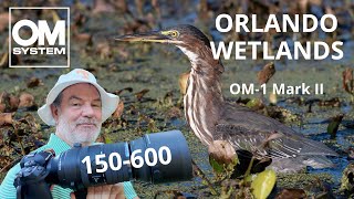 видео: OM-1 Mark II Орландо Водно-болотные угодья Фотосъемка птиц 150-600 сентября OM SYSTEM картинка: OM-1 Mark II Орландо Водно-болотные угодья Фотосъемка птиц 150-600 сентября OM SYSTEM
