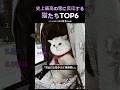 史上最高の雪に反応する猫たちTOP6