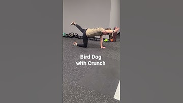 Thumbnail of Bird Dog with Crunch