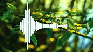 Charlie bgm X Remix music ||best background music || Charlie theme BGM