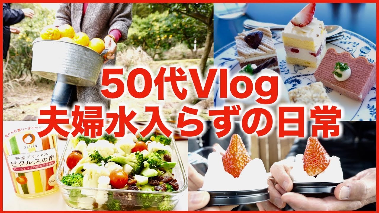 日々の暮らしvlog 50代夫婦水入らず 甘夏マーマレード 家ご飯 みかん畑 菜園収穫 Youtube