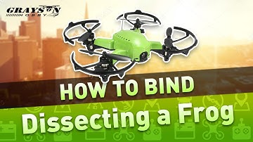 Eachine Q90 Frog | How to Bind FlySky Radio | Best Brushed Micro Quad for FPV