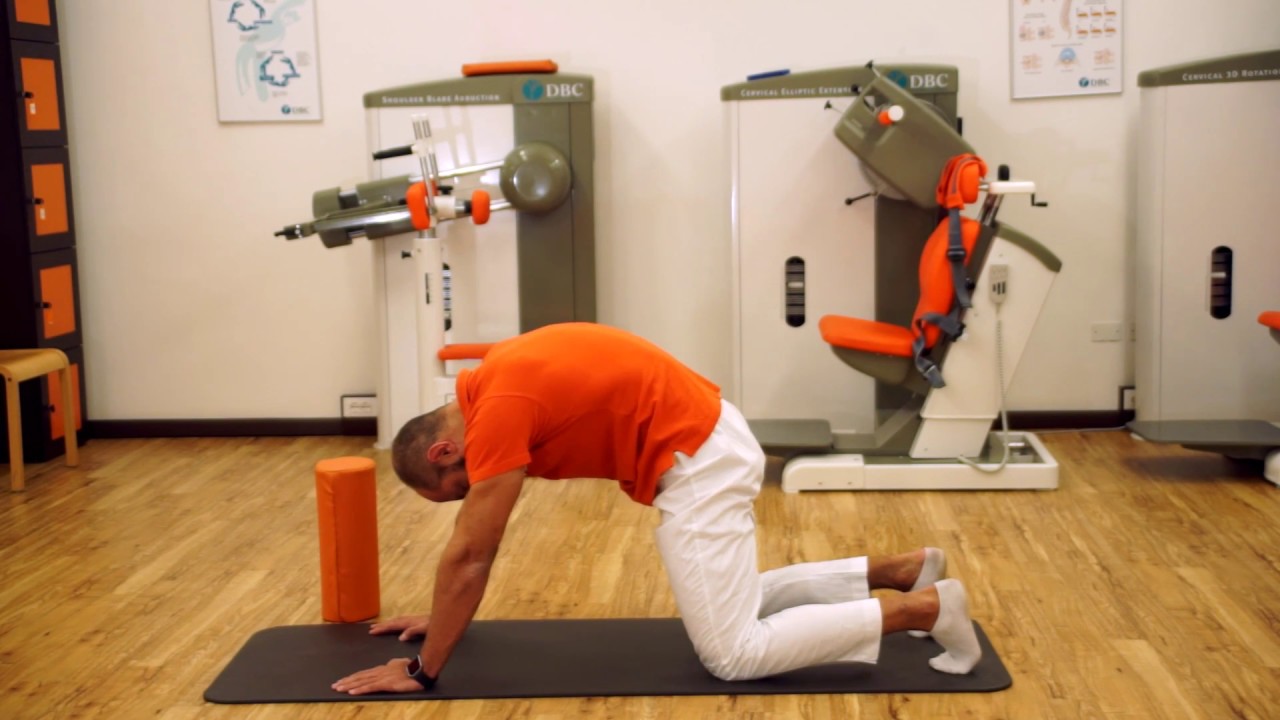 IL GATTO o CAT-CAMEL - Esercizio di mobilizzazione del rachide dorso-lombare