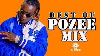 DJ SILVER - BEST OF WILLY PAUL MIXTAPE|[Willy Paul Greatest Songs]|Toto mix|@WillyPaulMsafi|
