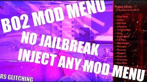 [PS3/HEN/HFW] BO2 Mod Menu Injector (NO JAILBREAK!)
