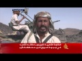المقاومة الشعبية تتقدم بجهة صرواح