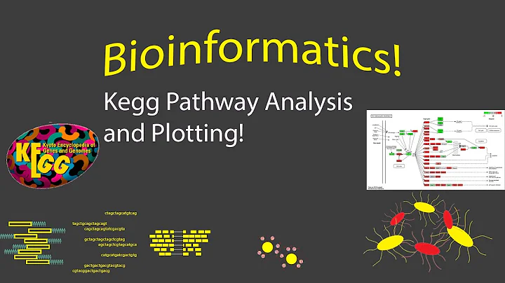 Bioinformatics - KEGG Pathway Visualization in R