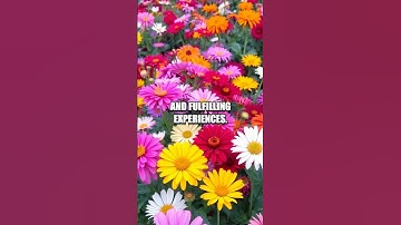 Embracing Your Unique Journey: A Path to Fulfillment