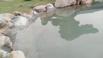 Táo quân lên trời - Apple army to the sky