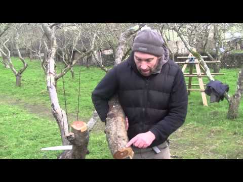 Video: Reîntinerirea pomilor fructiferi vechi - Informații despre restaurarea pomilor fructiferi vechi